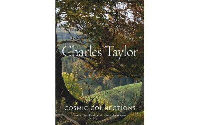 Cosmic Connections by Charles Taylor